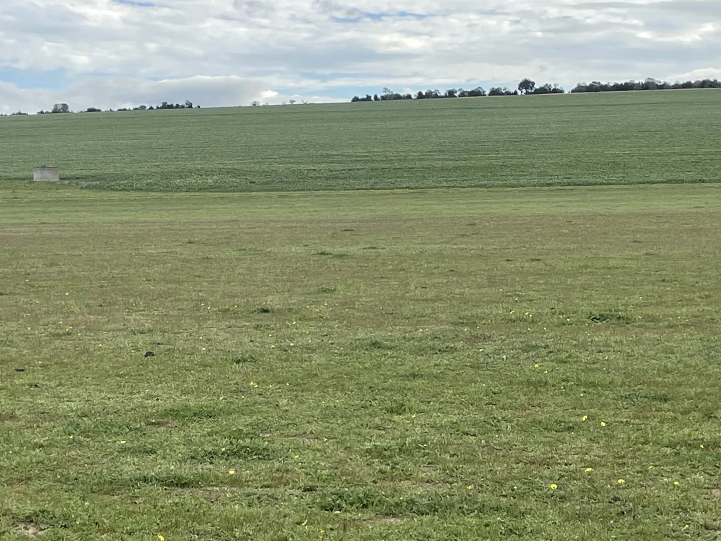 Additional image 12 of Quairading South Road, Dangin WA 6383