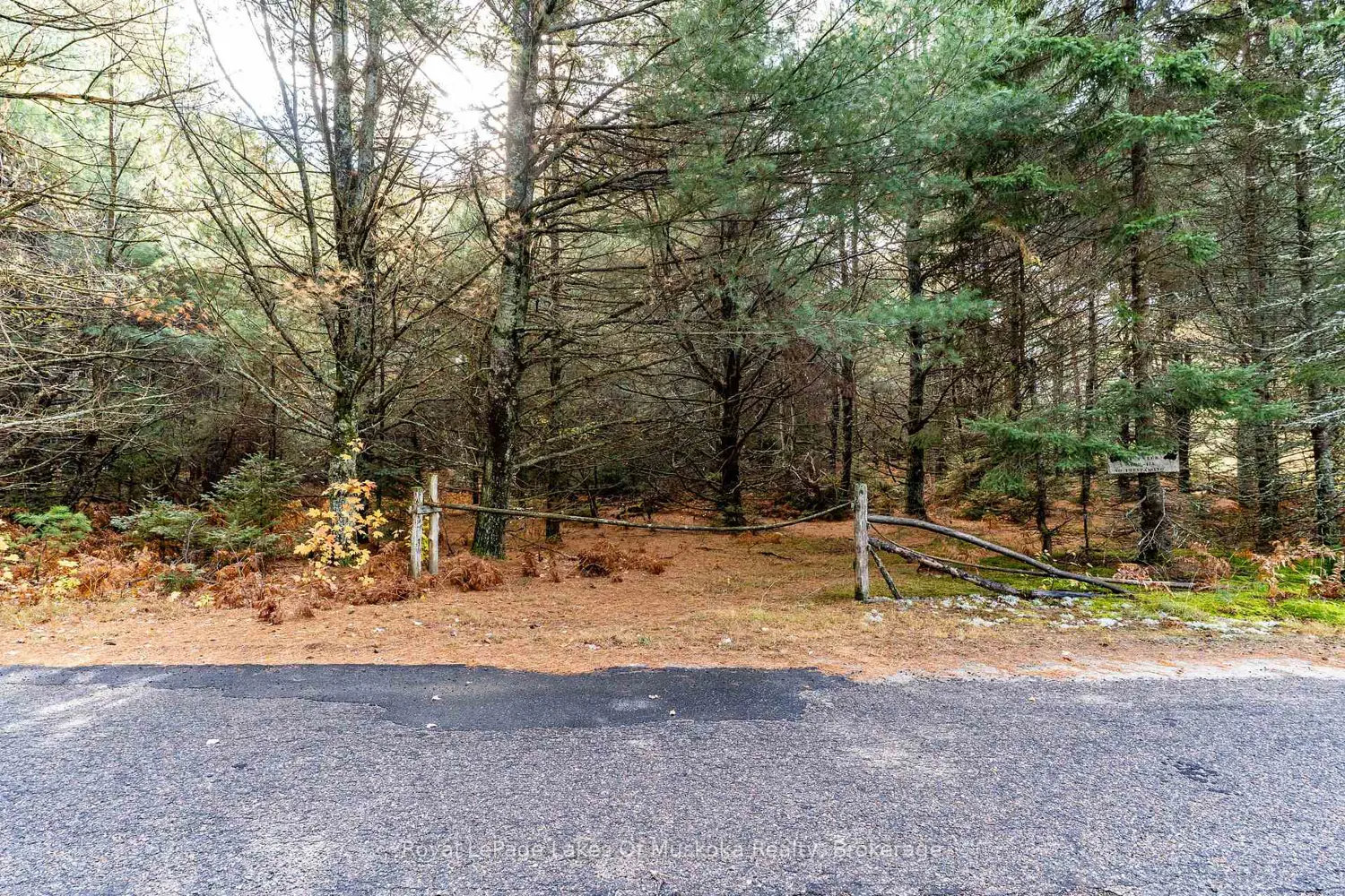 Additional image 10 of 267 & 321 Cardwell Lake Road