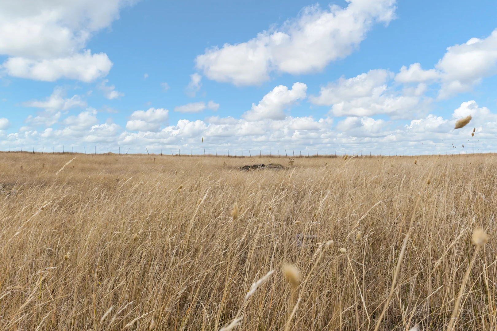 Additional image 8 of 210 Briggs Road, Honeywood TAS 7017