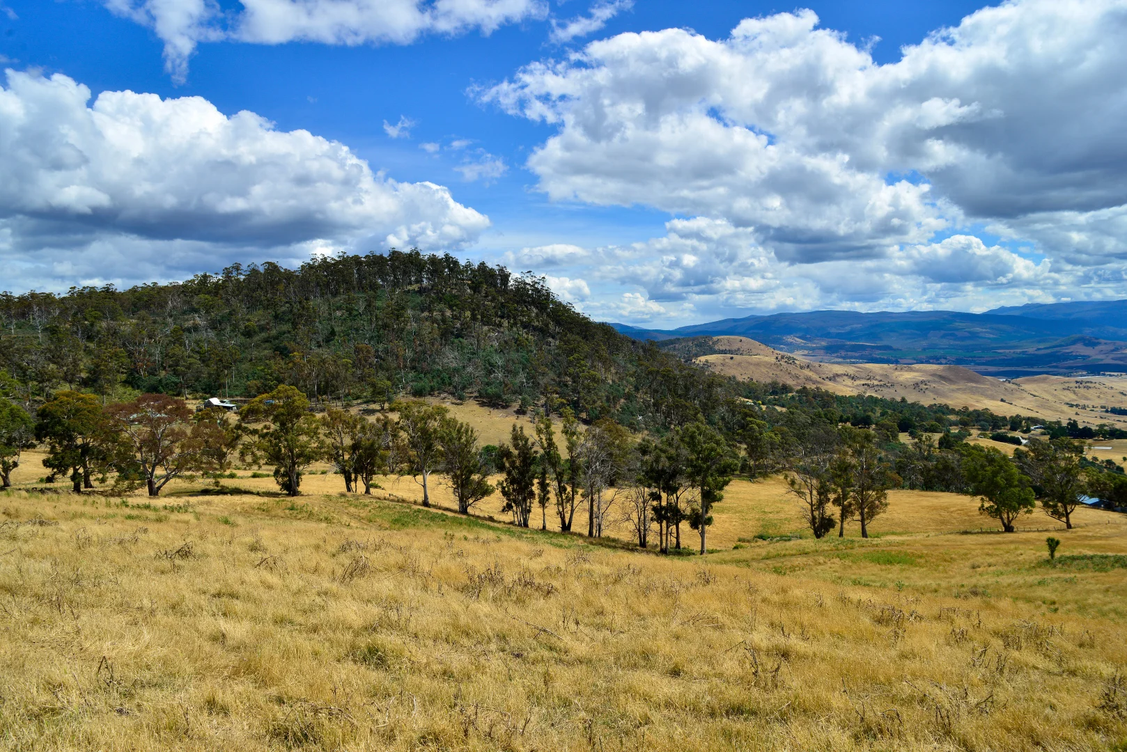 Additional image 17 of 17 Garth Lane, Black Hills TAS 7140