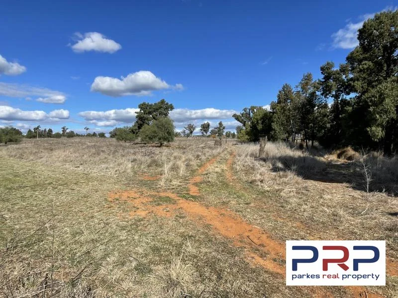 Additional image 2 of 48 Furners Lane, Trewilga NSW 2869