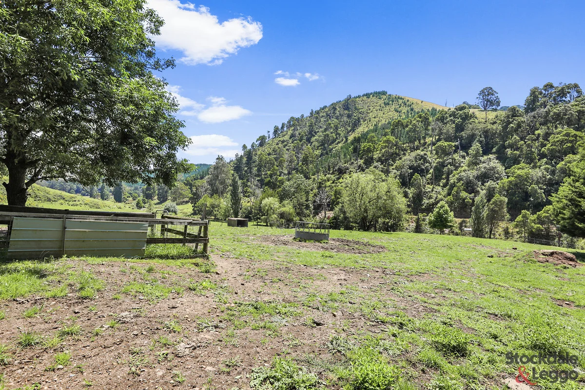 Additional image 18 of 160 Morwell River East Branch Road, Grand Ridge VIC 3870