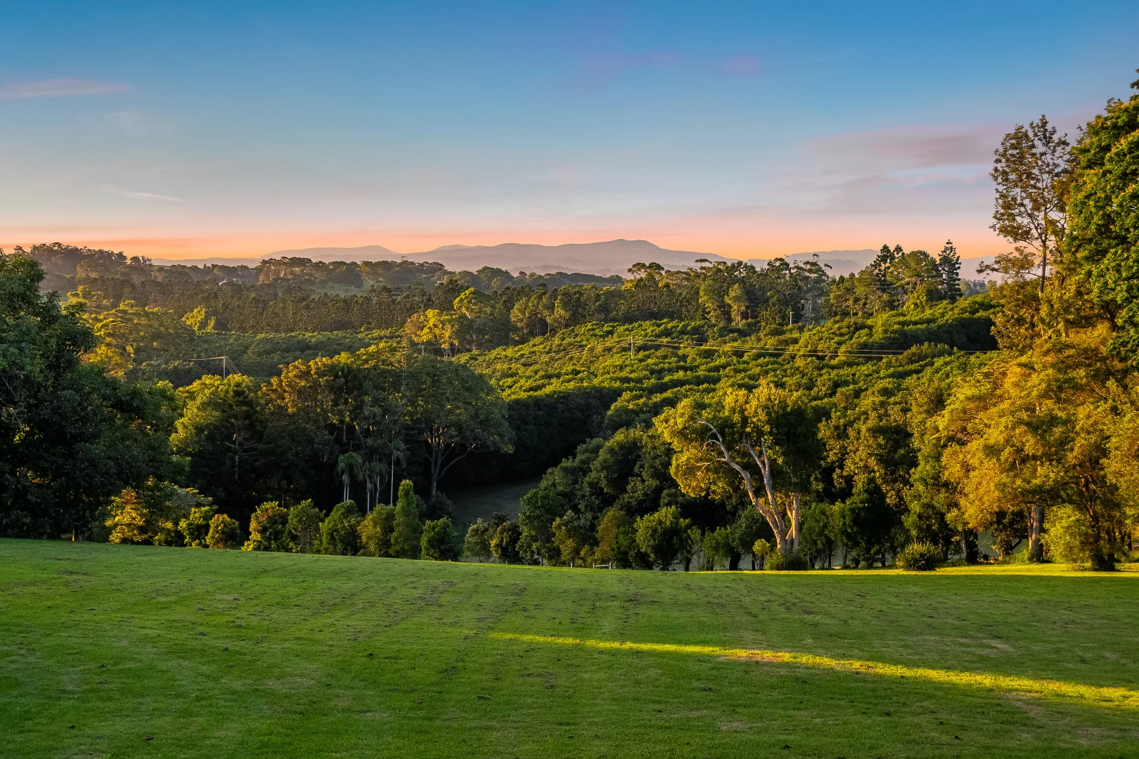 Additional image 5 of 175 Old Byron Bay Road, Newrybar NSW 2479