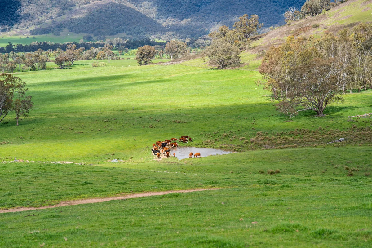 Additional image 4 of 2 Hibbersons Road, Tallangatta South VIC 3701