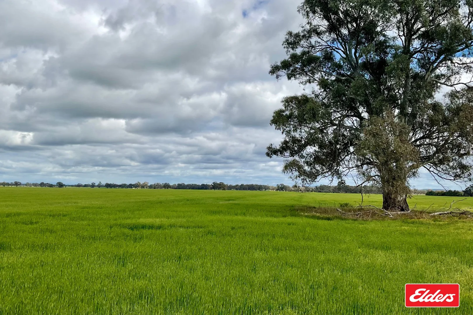 Additional image 6 of Bridgewater-Maldon Road, Laanecoorie VIC 3463