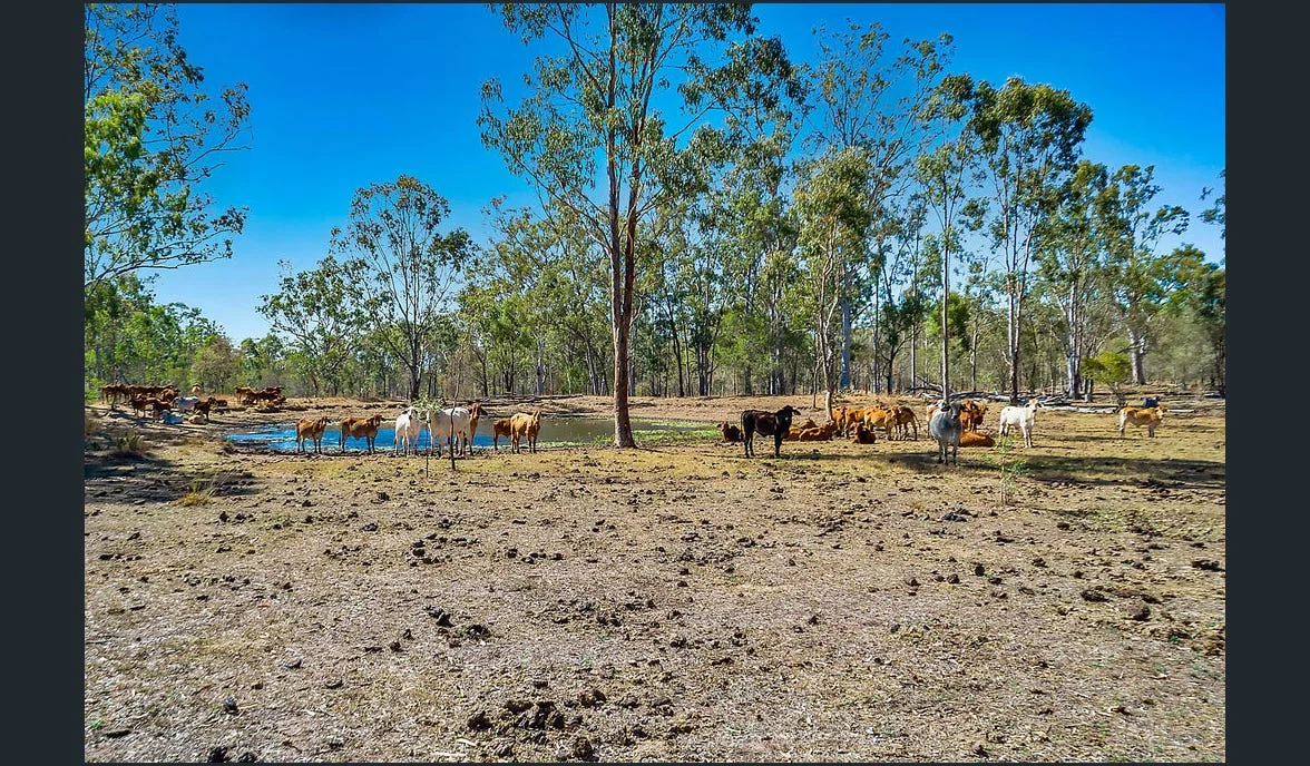 Additional image 13 of 1 Intrepid Drive, Foreshores QLD 4678