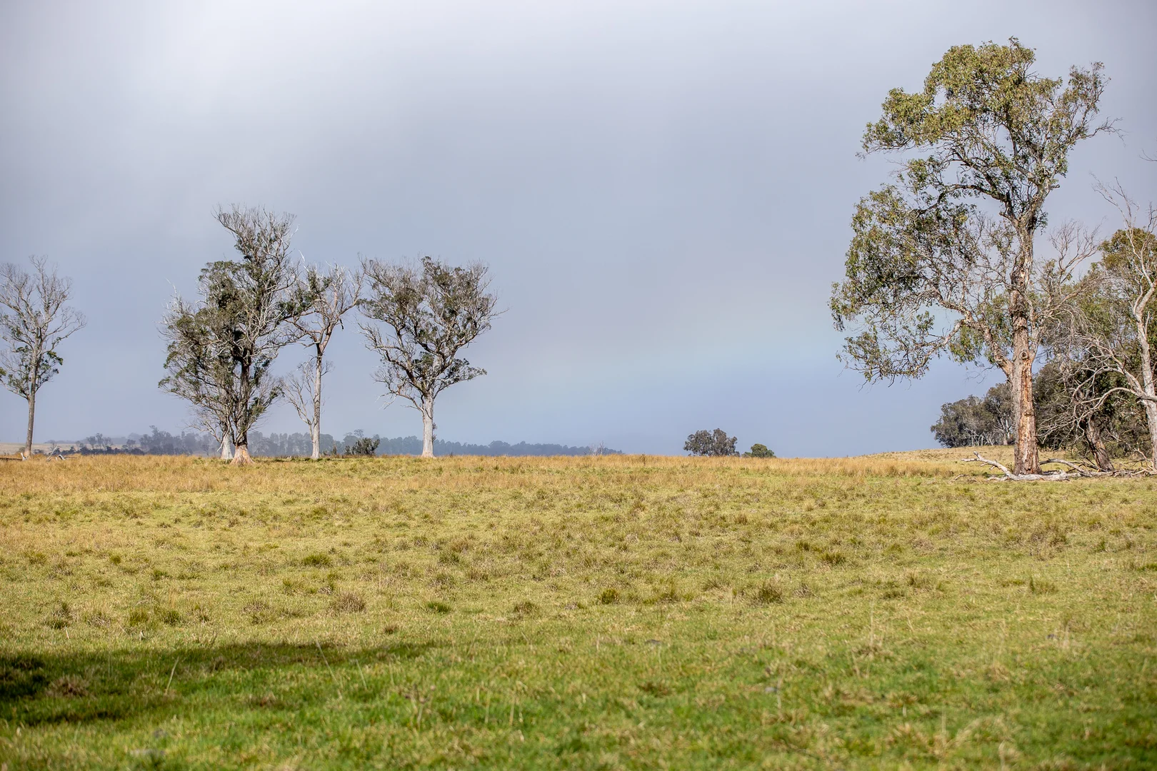 Additional image 6 of 737 Dyamberin Road, Wongwibinda NSW 2350