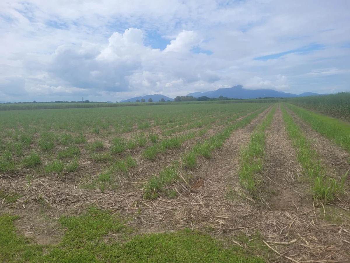 Additional image 2 of 23 Taylors Beach Road, Halifax QLD 4850