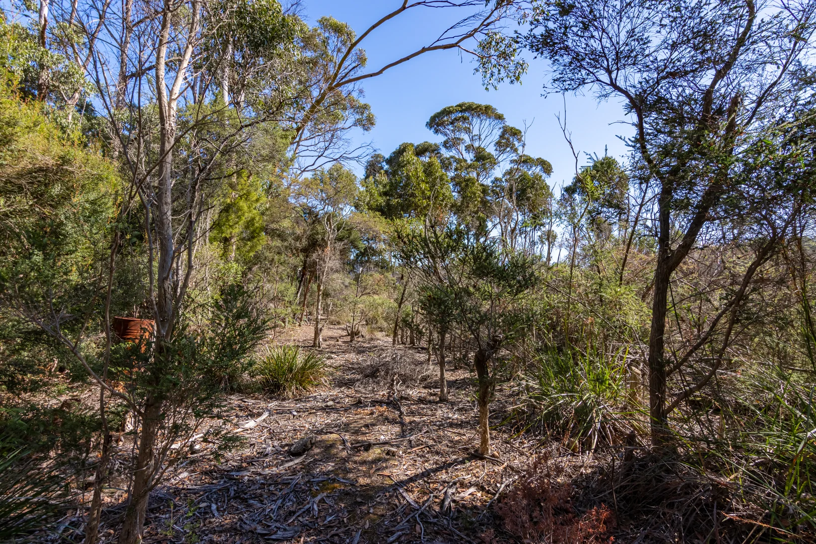 Additional image 10 of Eggs And Bacon Bay TAS 7112
