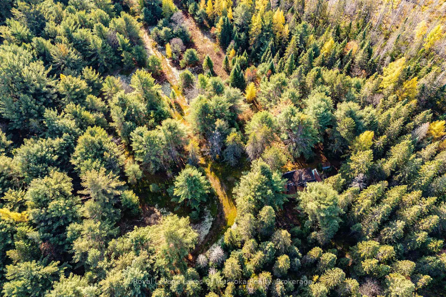 Additional image 8 of 267 & 321 Cardwell Lake Road