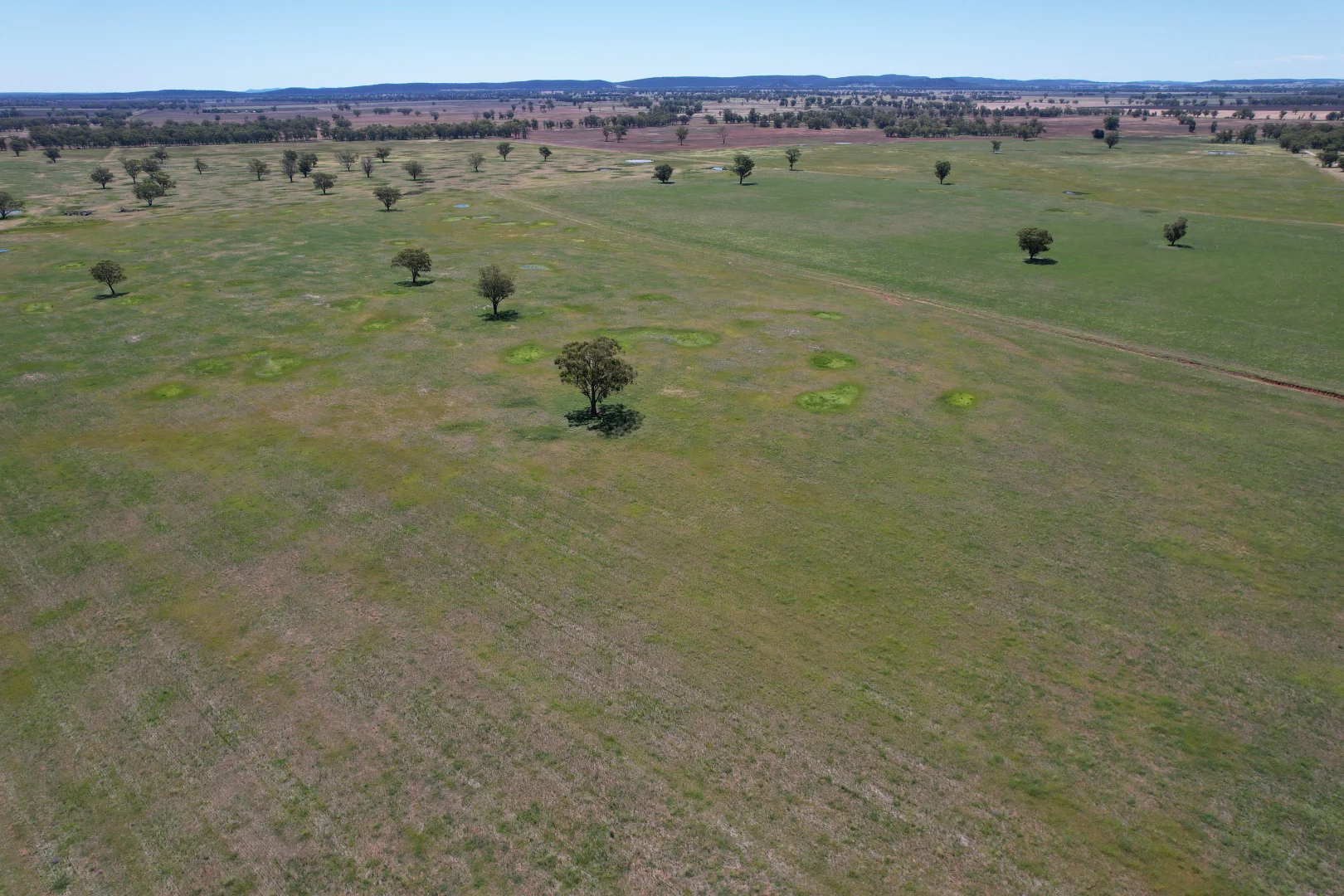 Additional image 14 of "Ben Hall Park" Yarrangong Road, Forbes NSW 2871
