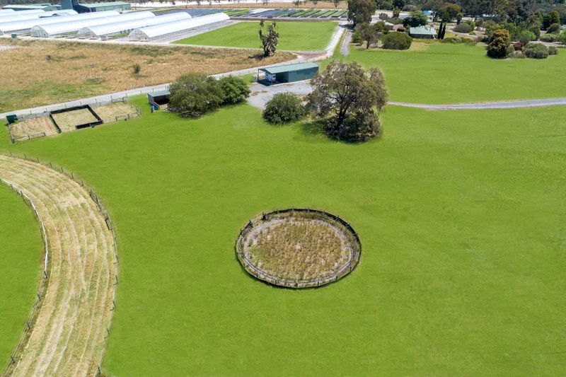 Additional image 14 of 541 Gossage Road, Oldbury WA 6121