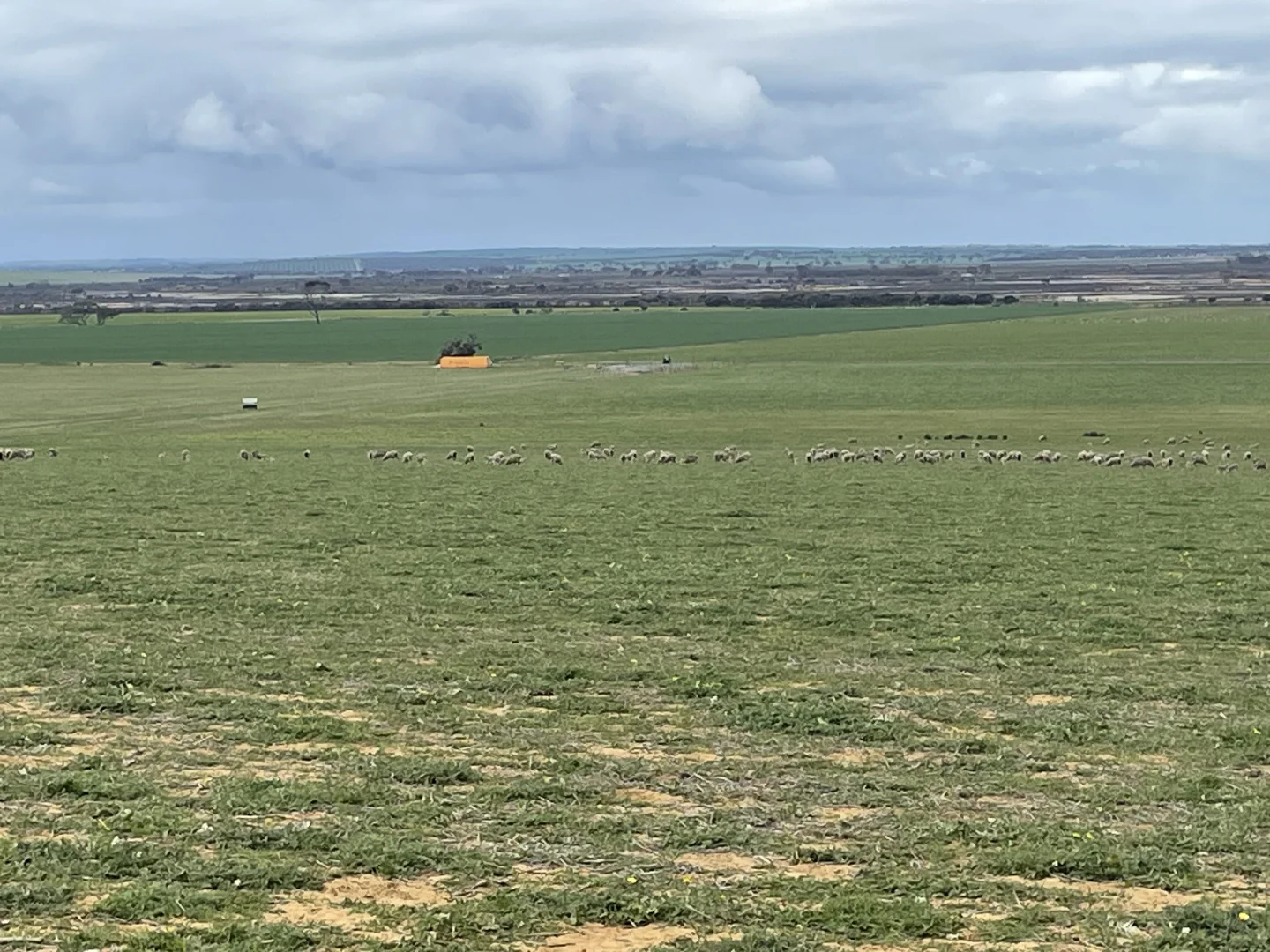 Additional image 10 of Quairading South Road, Dangin WA 6383