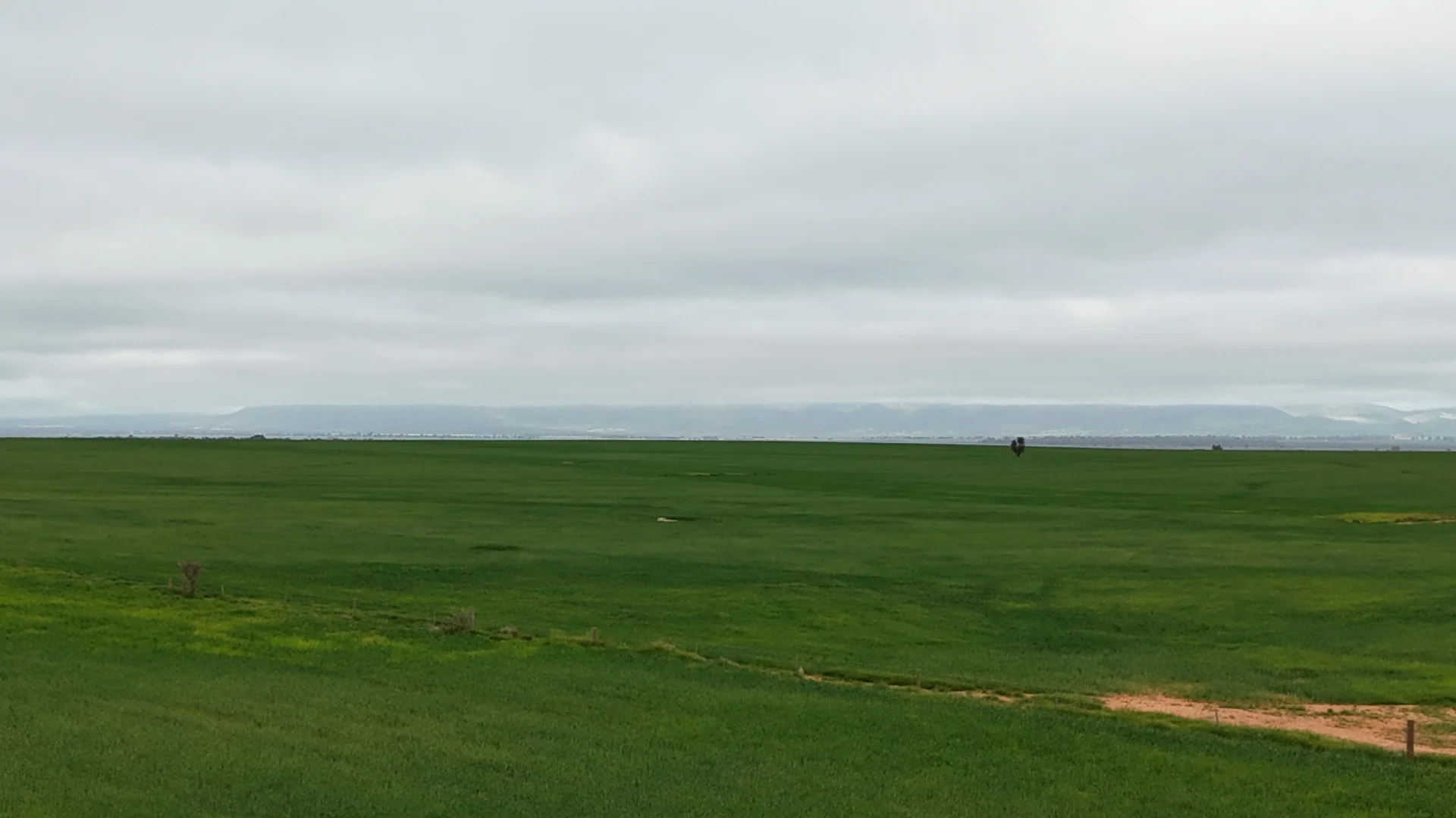 Additional image 21 of 26 Amyton Road, Willowie SA 5431