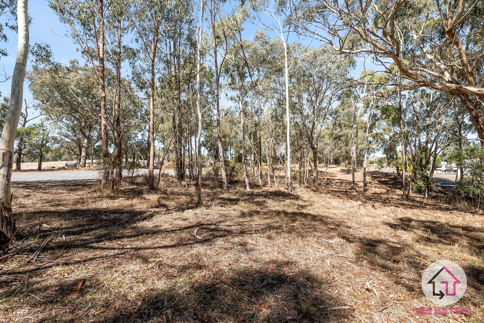 Additional image 5 of 125 Ryans Road, Clonbinane VIC 3658