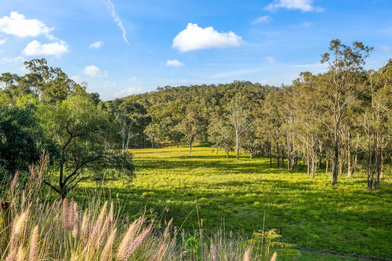 Additional image 18 of 200 Lindsay Road, North Rothbury NSW 2335