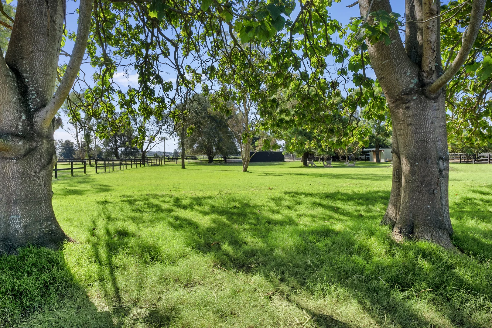 Additional image 29 of 63 Cordners Lane, Cornwallis NSW 2756