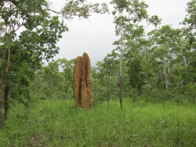 Additional image 8 of Acacia Hills NT 0822