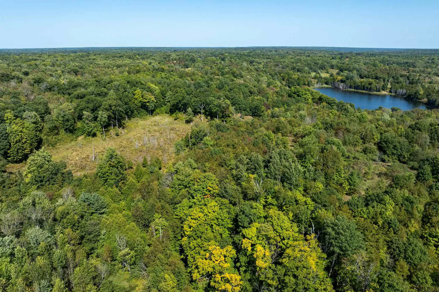 Additional image 6 of 406 Crozier Road