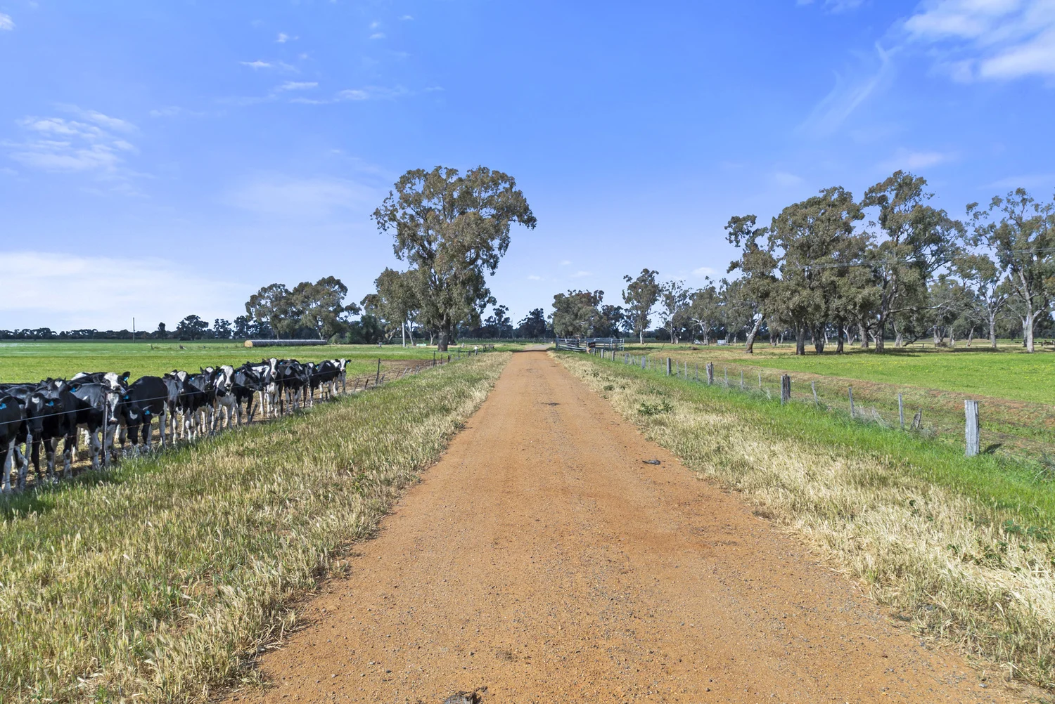 Additional image 28 of 2896 Murray Valley Highway, Yielima VIC 3638