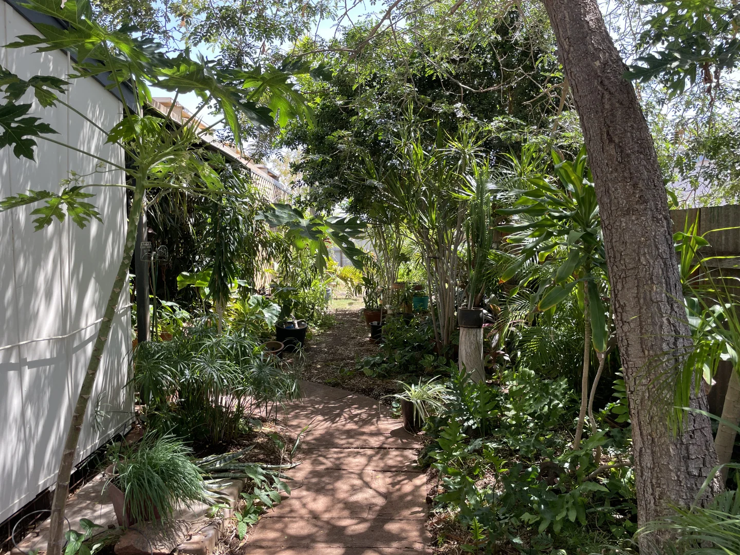 Additional image 13 of 71 Second Avenue, Onslow WA 6710