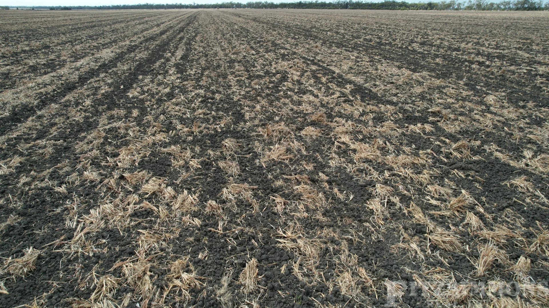 Additional image 9 of Jeitz Road, Warra QLD 4411