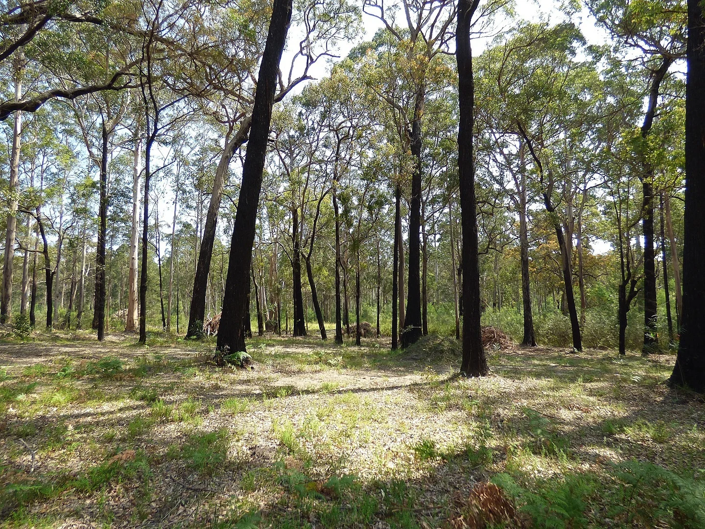 Additional image 7 of 72 Wonboyn Road, WONBOYN Via, Eden NSW 2551