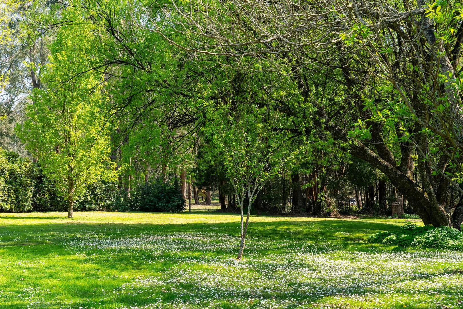 Additional image 20 of 20 Anderson Lane, Narbethong VIC 3778