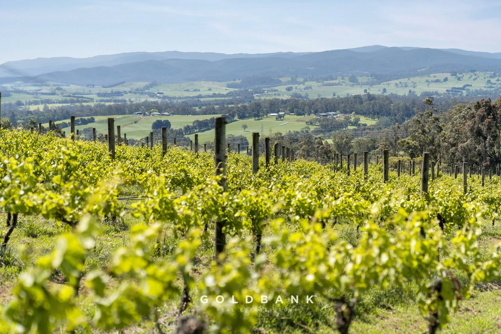 Additional image 7 of 180 Lardners Track, Drouin East VIC 3818