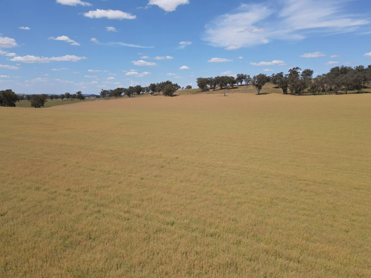 Additional image 8 of 1 Tremains Lane, Toogong NSW 2864