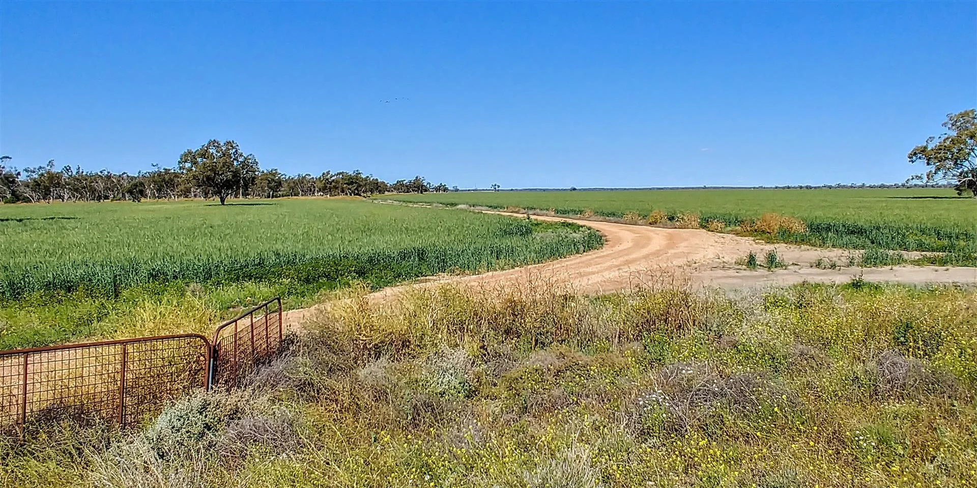 Additional image 25 of 569 Borehead Rd, Lightning Ridge NSW 2834