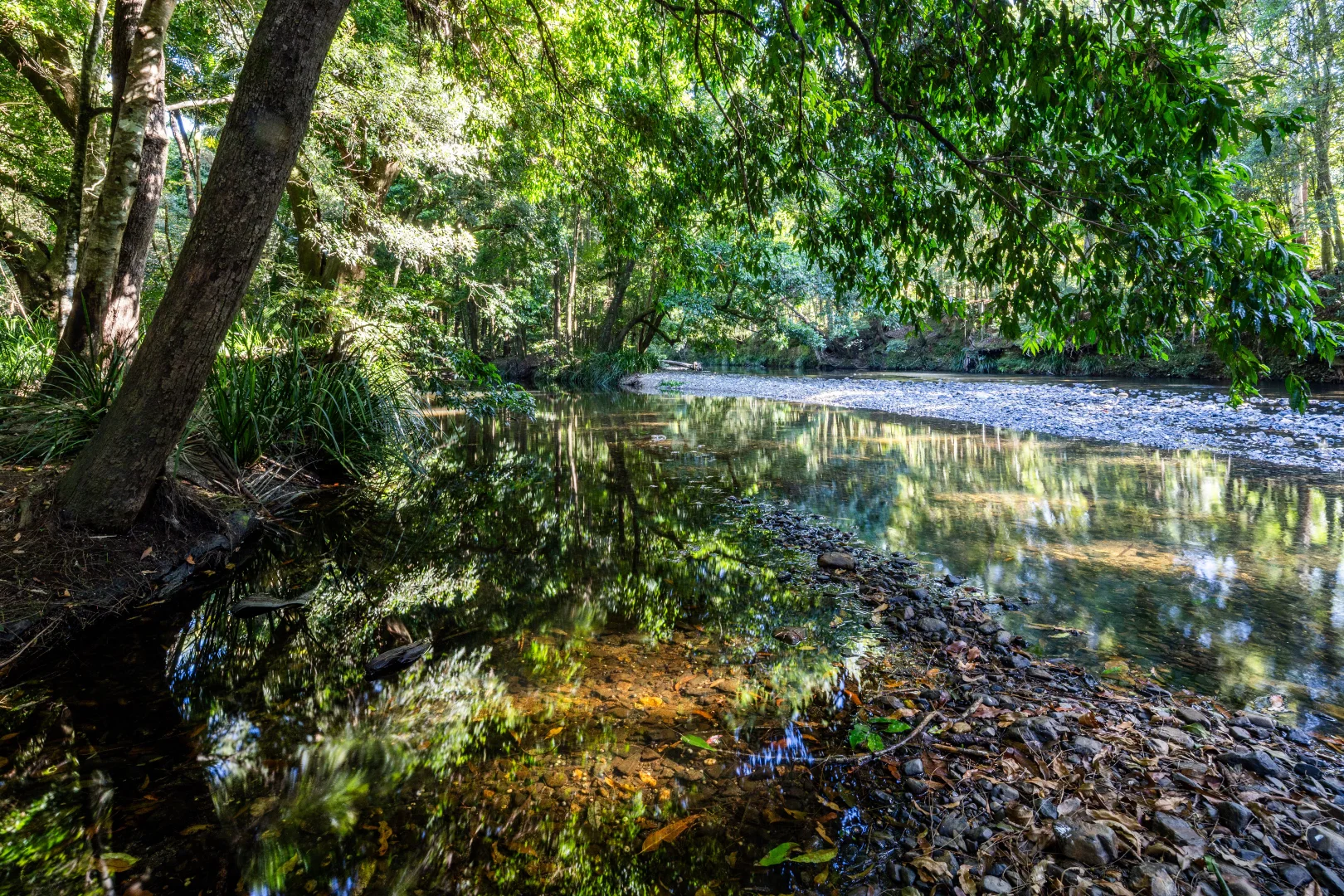 Additional image 34 of 930 promised land Road, Bellingen NSW 2454