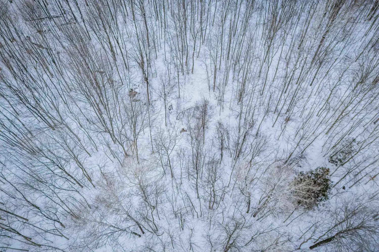 Additional image 20 of Lot Concession 10 Road