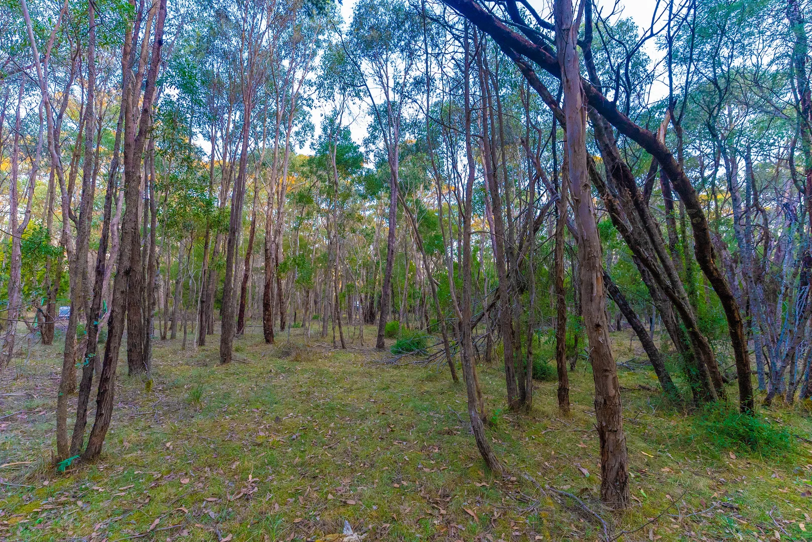 Additional image 9 of Lot 5 Howlett Road, Ross Creek VIC 3351