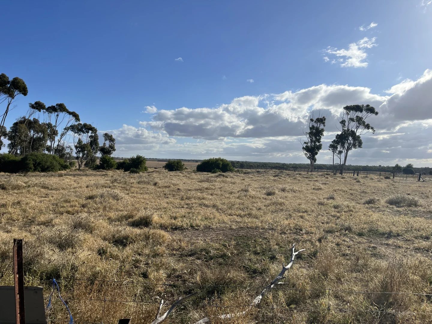 Additional image 31 of 3 Netherby Baker rd, Netherby VIC 3418