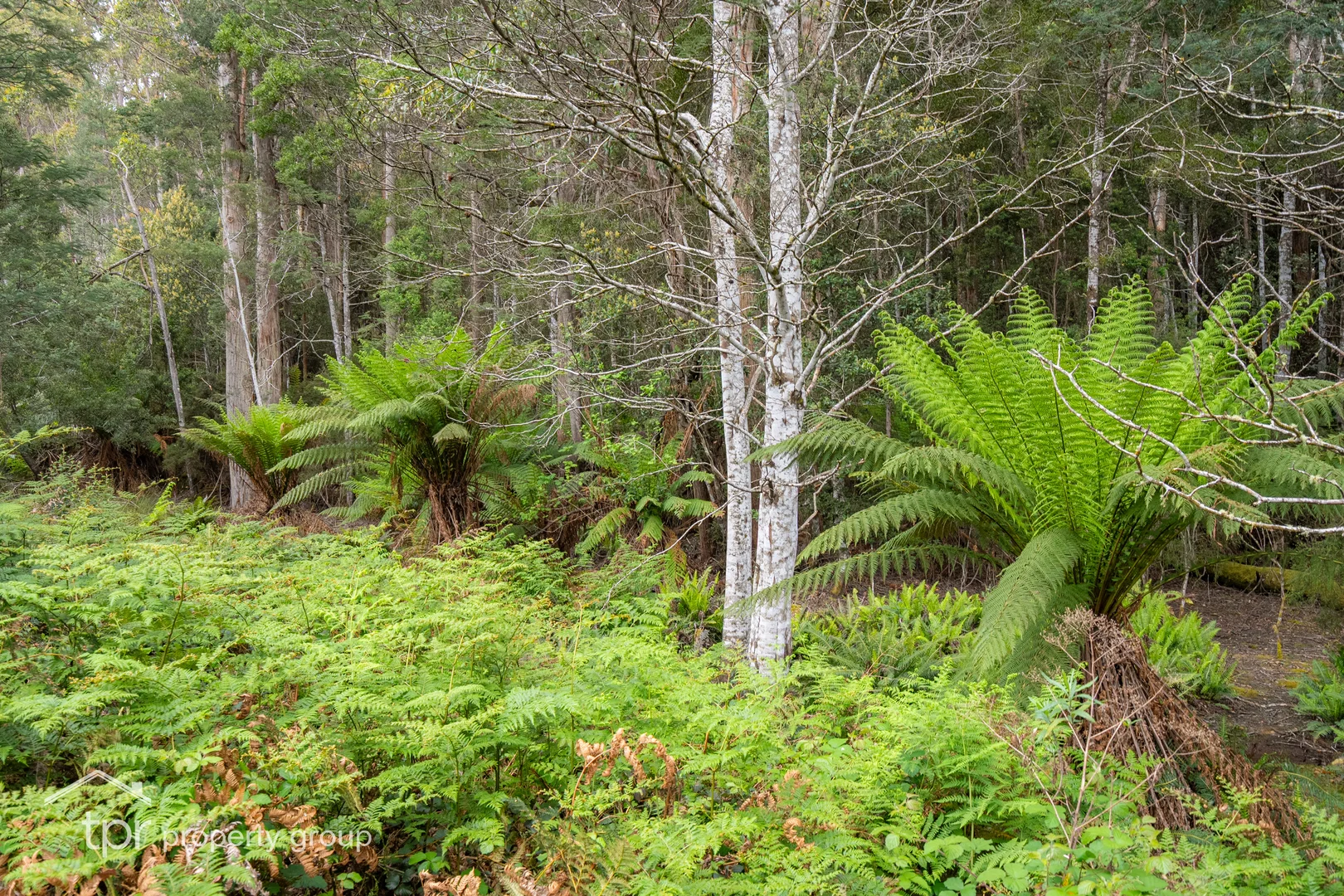 Additional image 24 of Lot 1 Cairns Road, Surges Bay TAS 7116