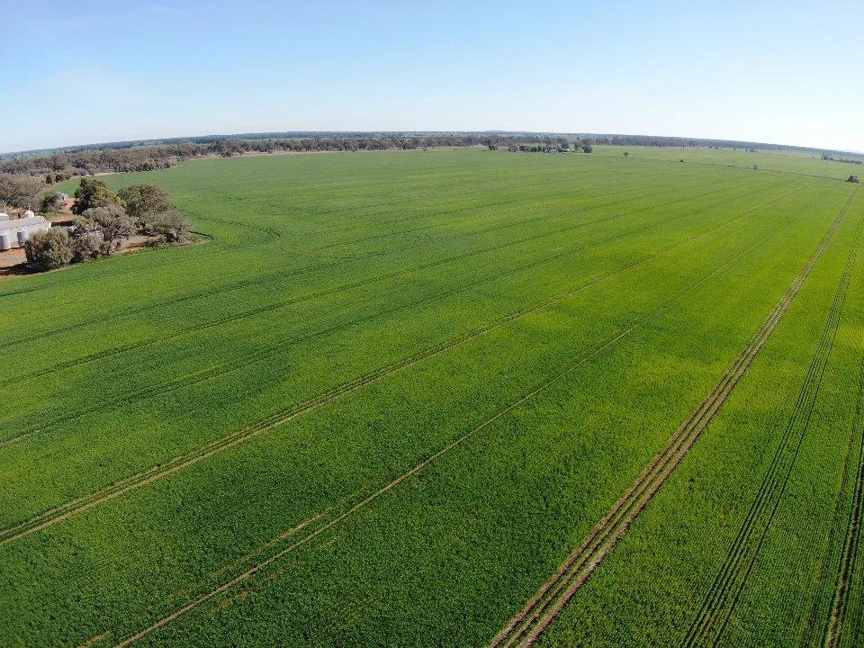 Additional image 4 of 'Allendale' 233 Waarbilla Road, Barmedman NSW 2668