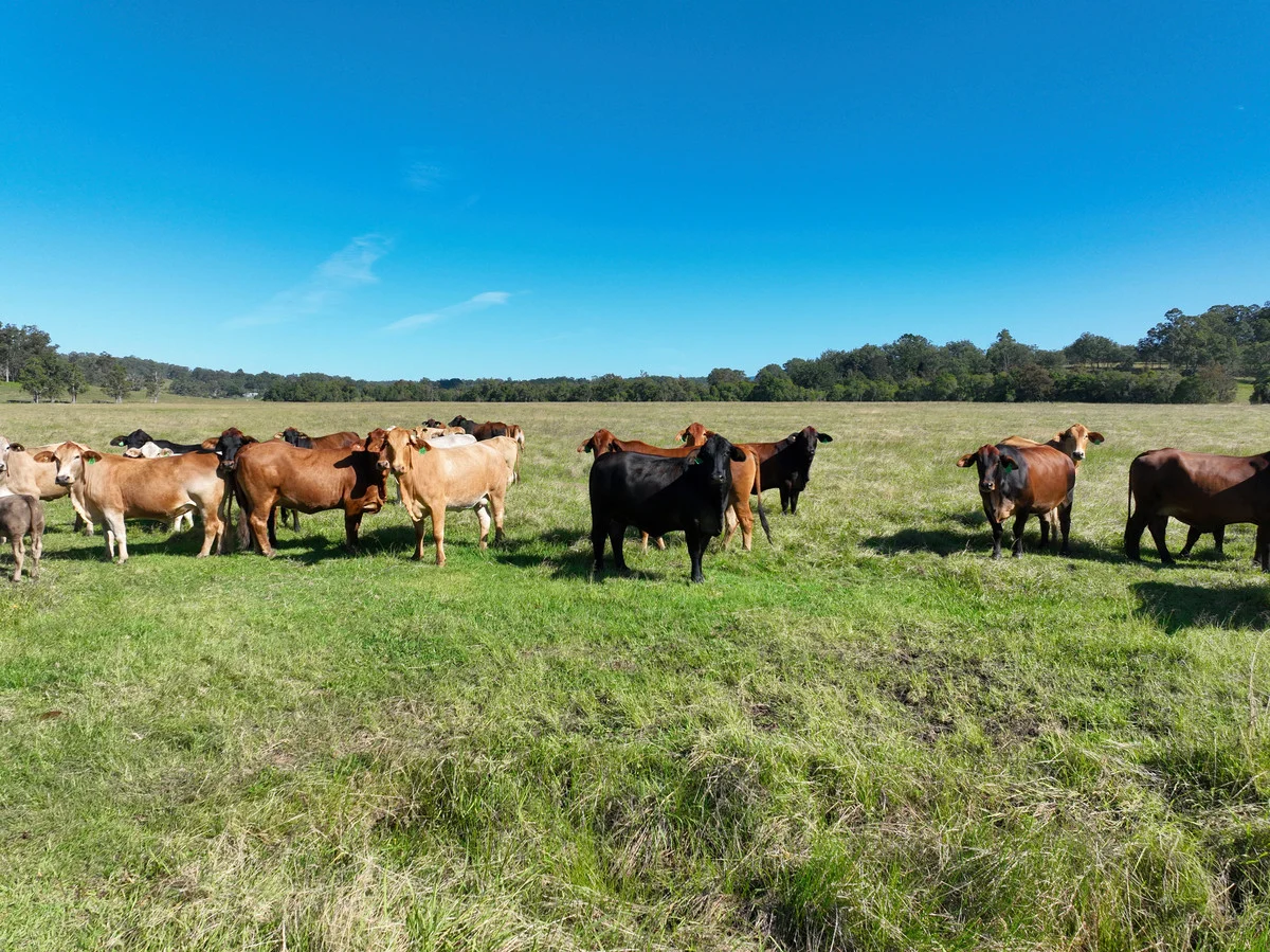 Additional image 14 of 200 Dobies Bight Road,, Dobies Bight NSW 2470