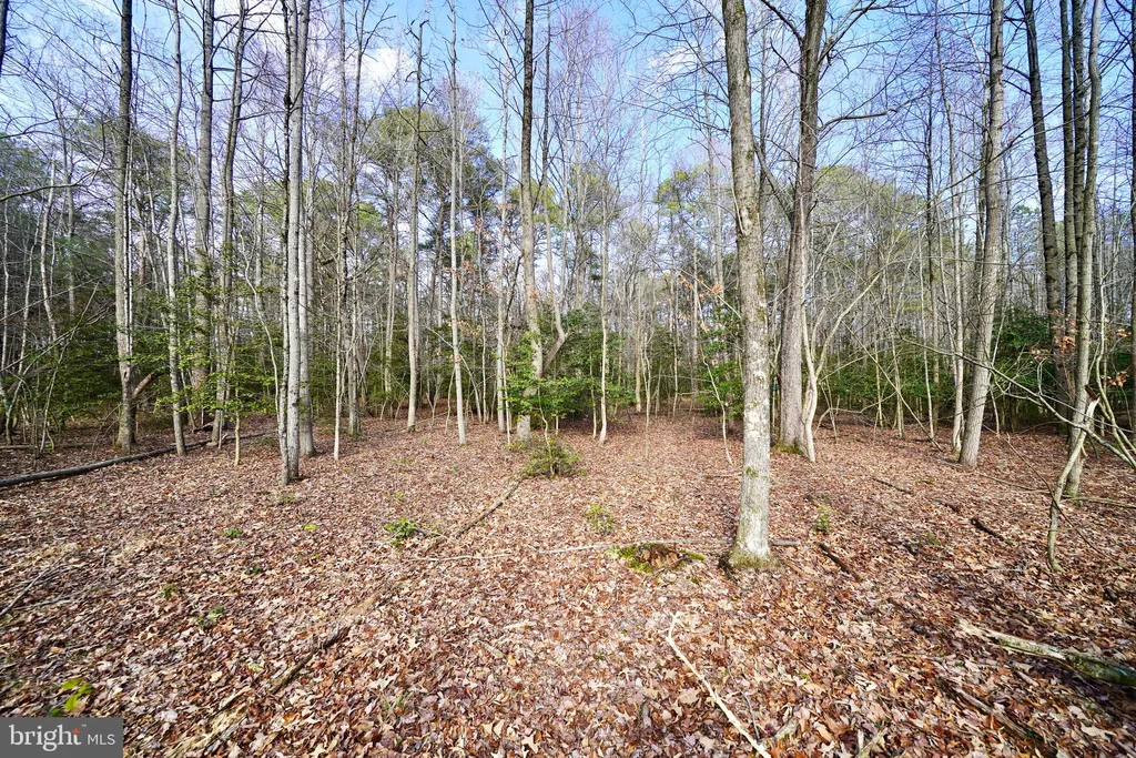 Additional image 6 of Lot 1 Megan Joy Road, Lincoln, DE 19960