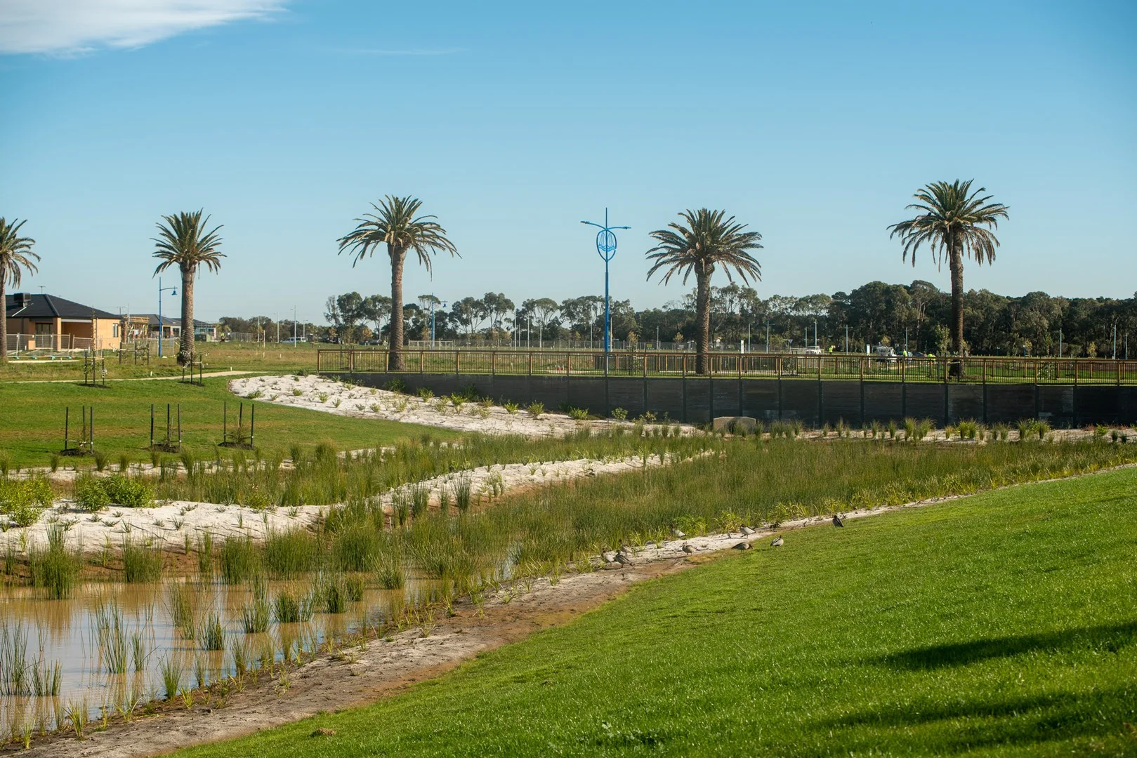 Additional image 6 of 16 Howard Street, St Leonards VIC 3223