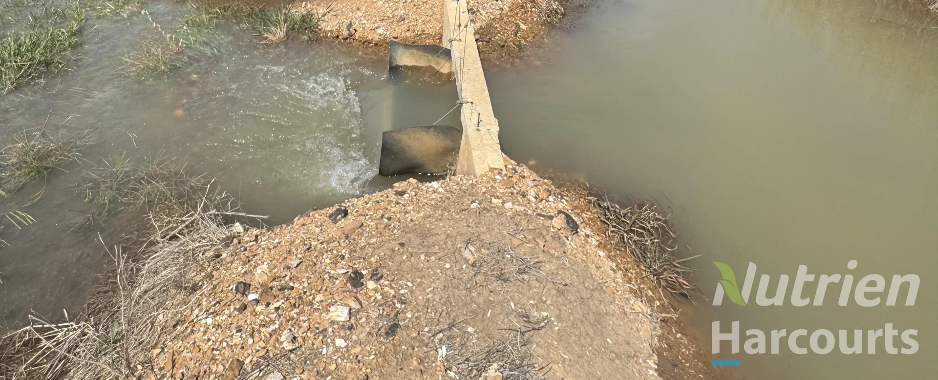 Additional image 13 of . Echuca Nanneella Road, Nanneella VIC 3561