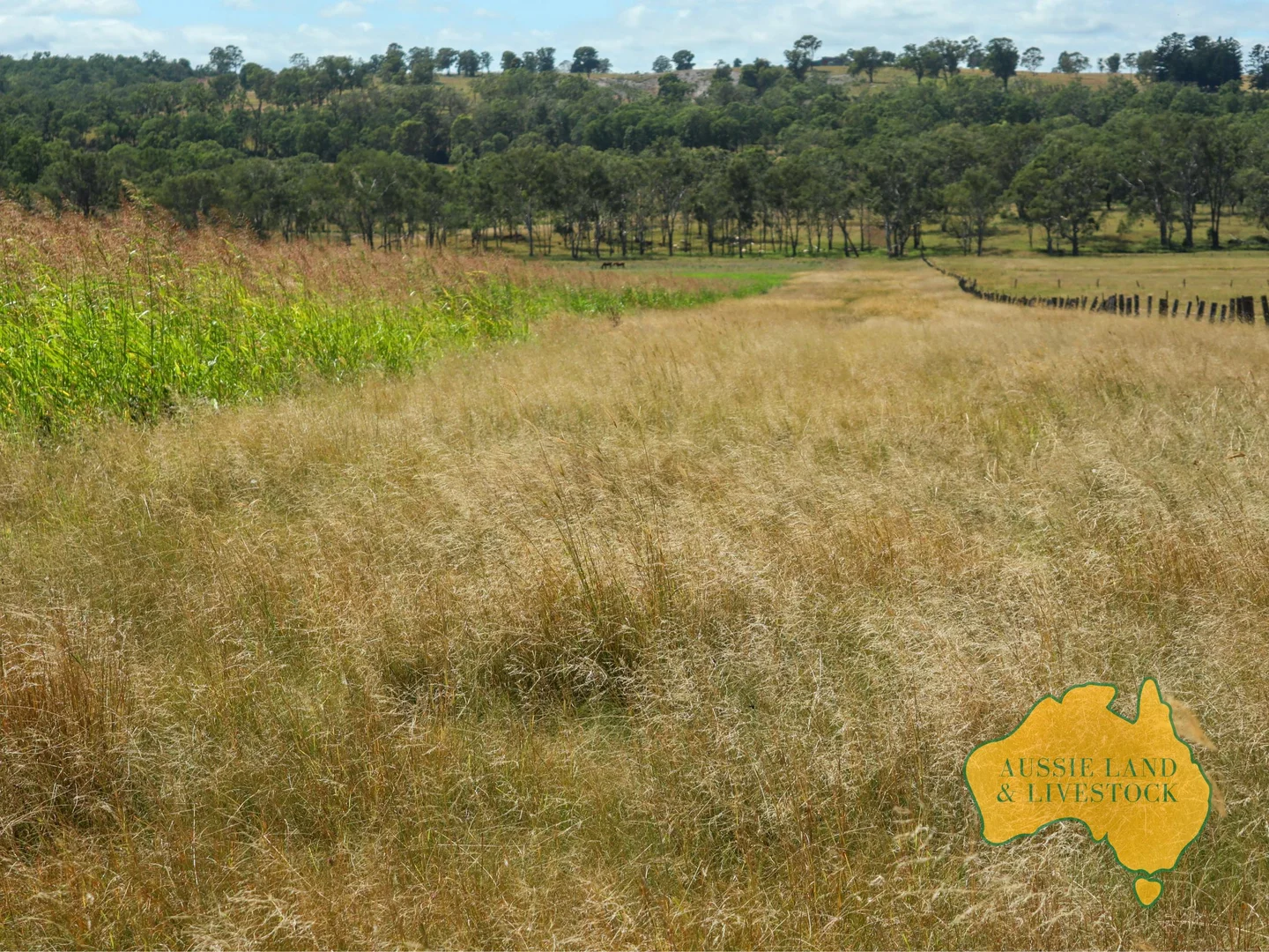 Additional image 84 of 629 Stuart Valley Drive, Haly Creek QLD 4610