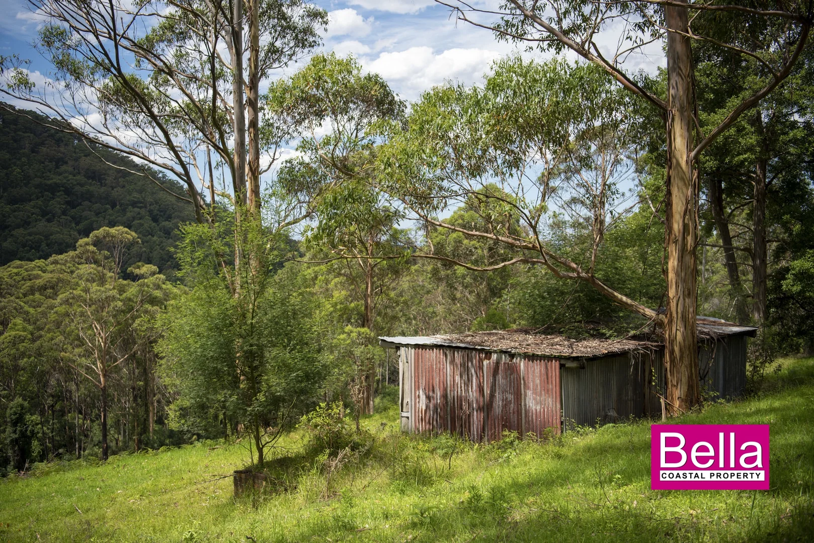 Additional image 7 of 41 Old Coach Road, Termeil NSW 2539