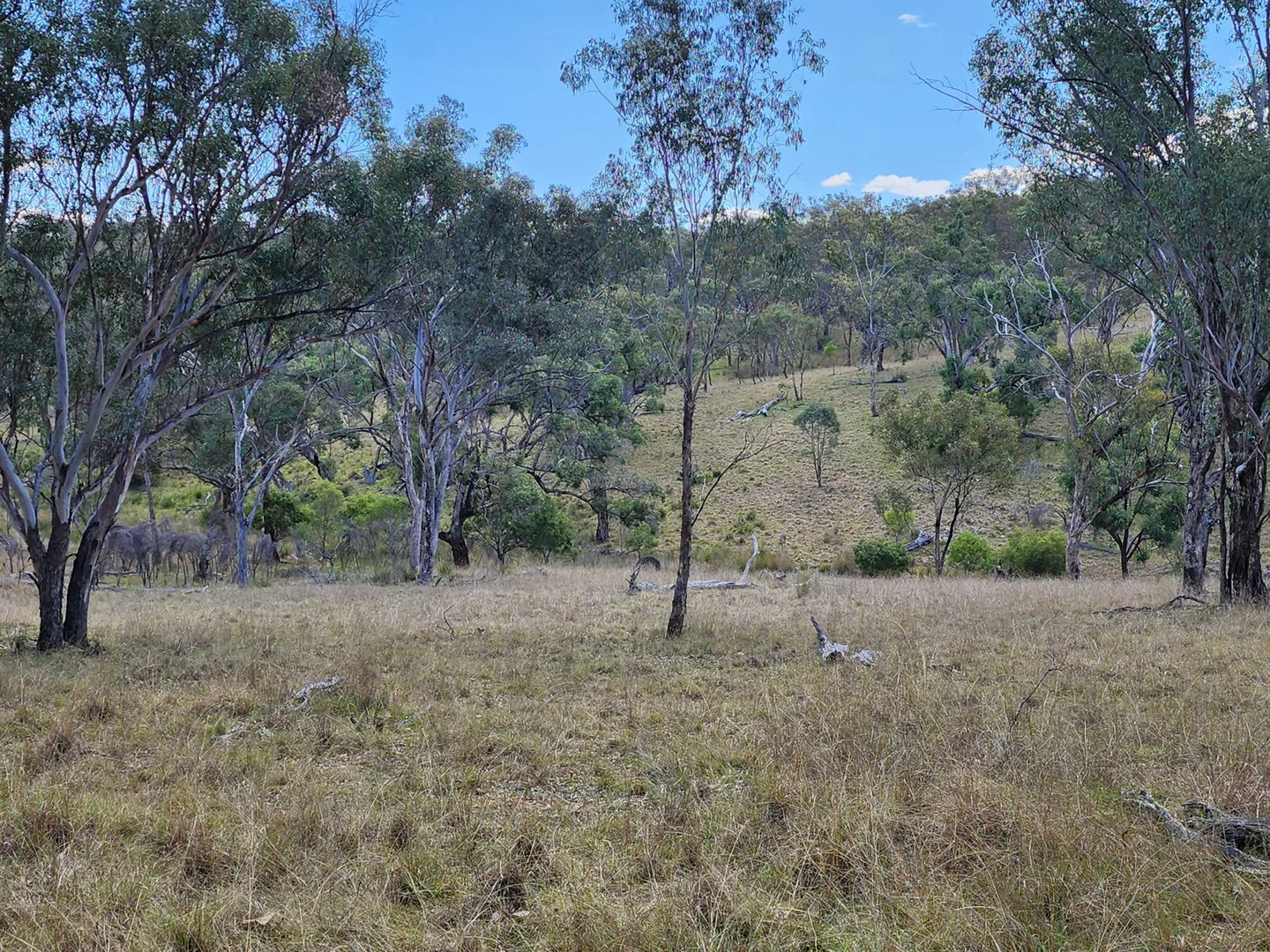Additional image 6 of Lot 2 Stanthorpe Texas Road, Stanthorpe QLD 4380
