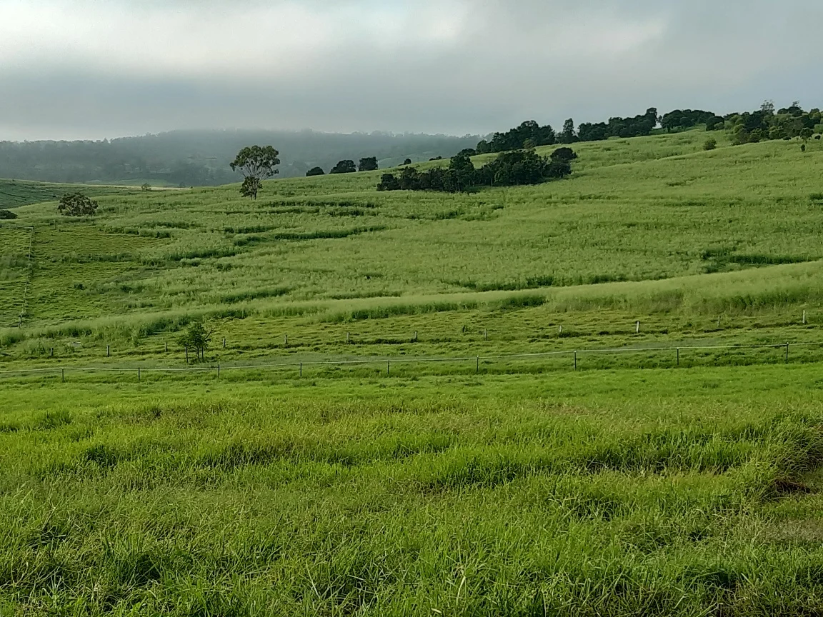 Additional image 4 of 59 Thornville Range Road, Thornville QLD 4352