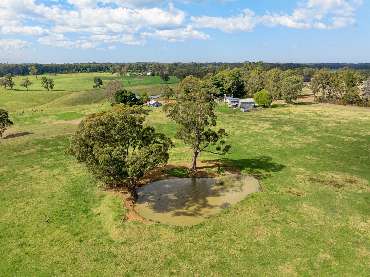 Additional image 15 of 164 Joiners Road, Newmerella VIC 3886
