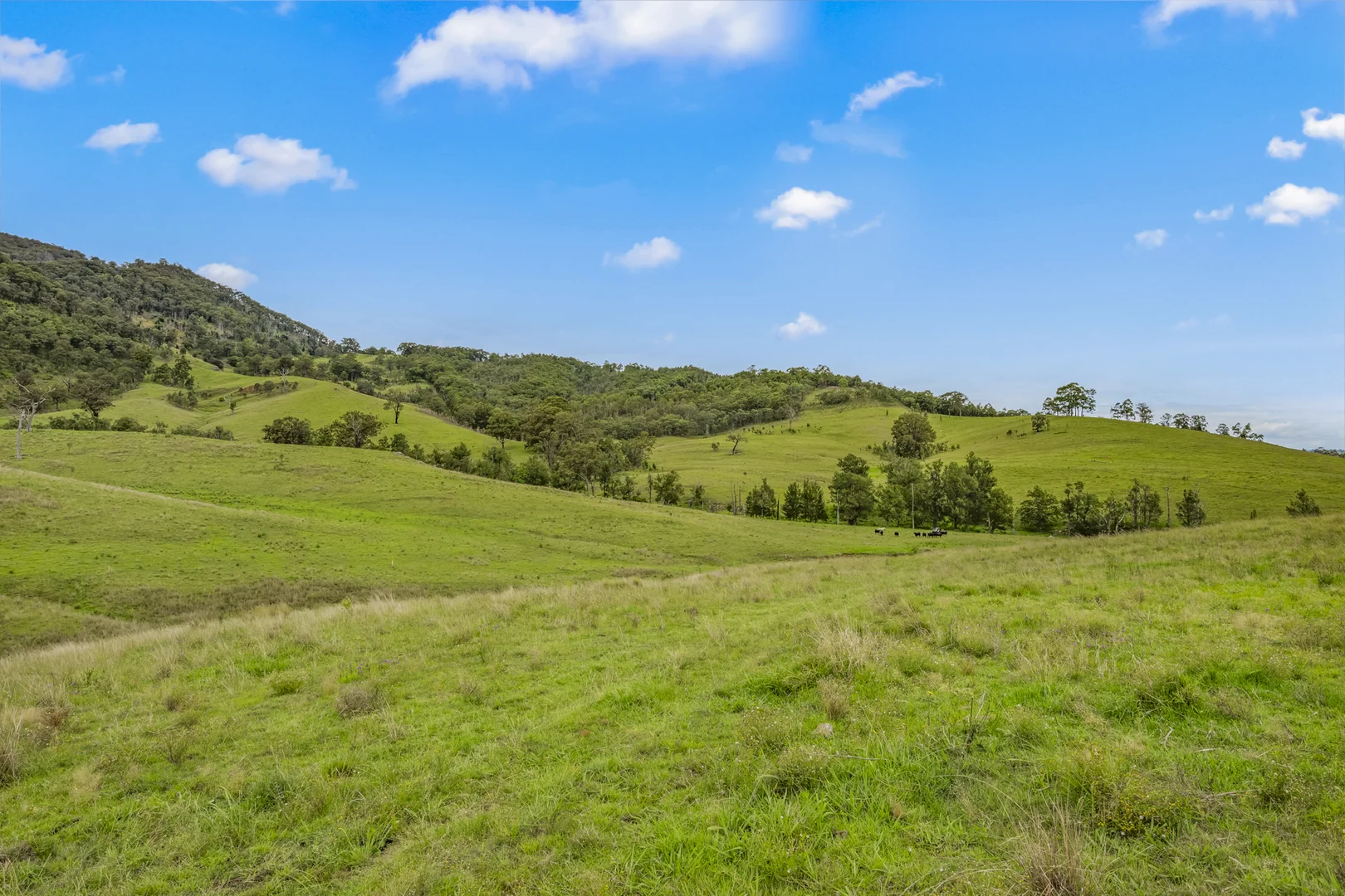 Additional image 11 of Carrowbrook Road Mount Olive, Singleton NSW 2330