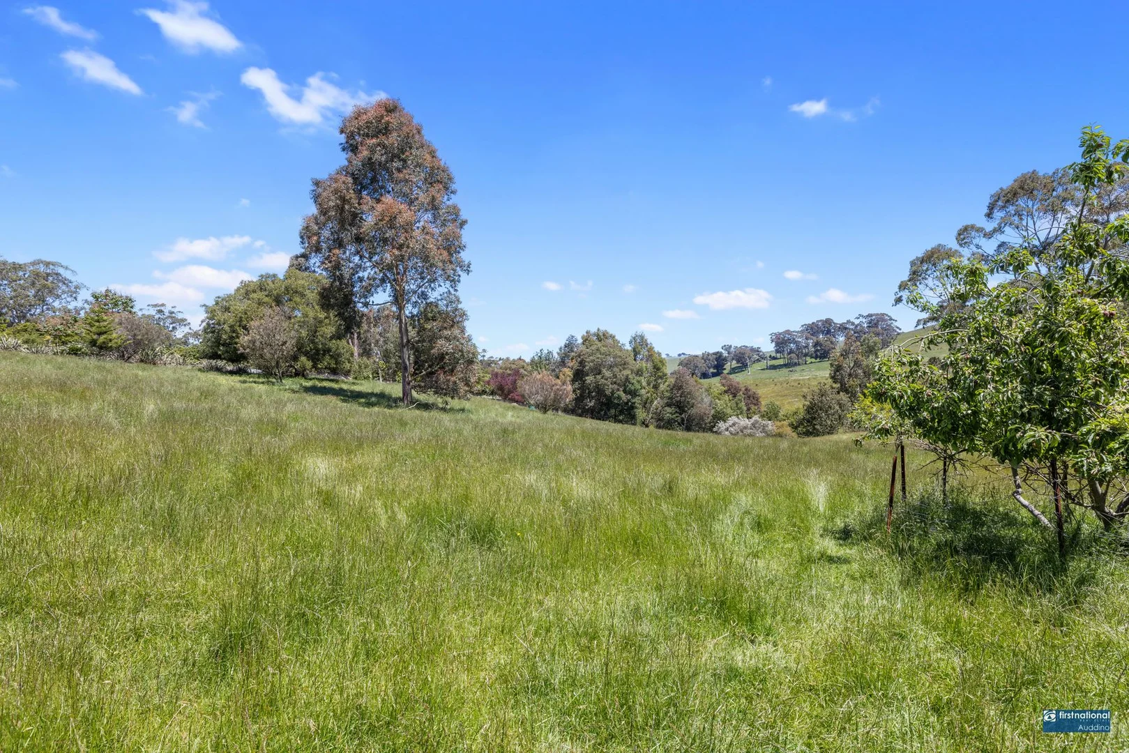 Additional image 22 of 120 Elmores Road, Korumburra VIC 3950