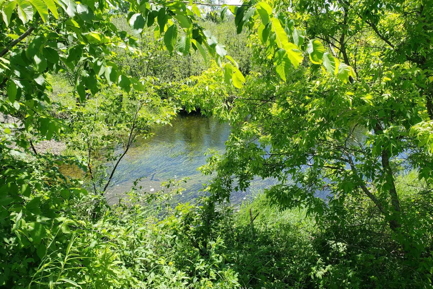 Additional image 6 of 15572 Highway 17