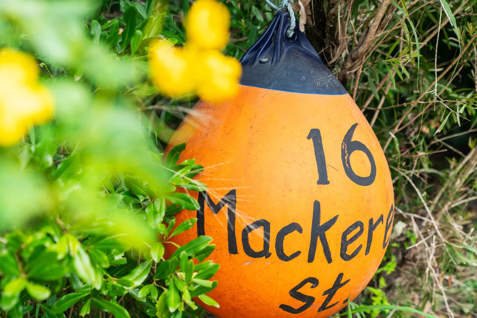 Additional image 31 of 16 Mackerel Street, Noosa North Shore QLD 4565